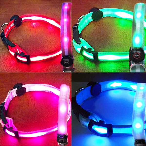 Hundehalsband Leuchtschlauch Leuchthalsband LED Leuchtband