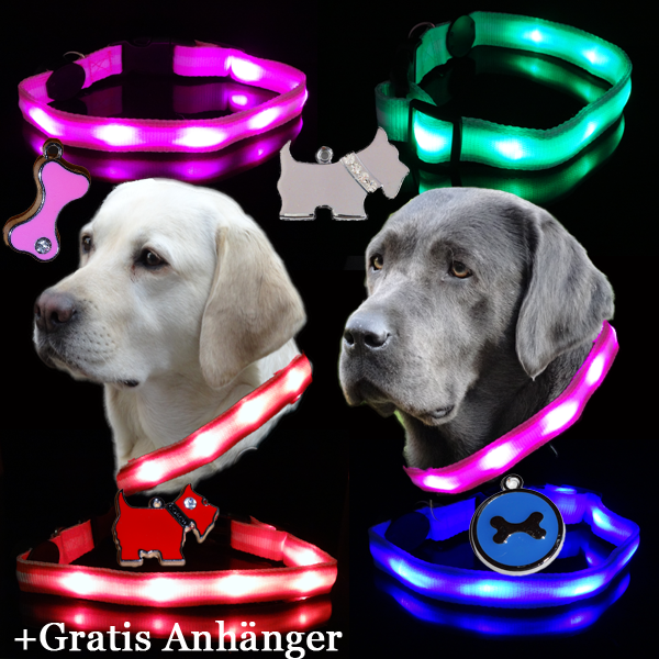 Hundehalsband Leuchtschlauch Leuchthalsband LED Leuchtband